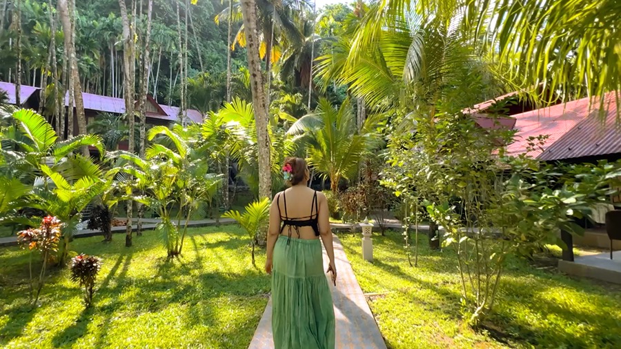 Silver Sand Jungle Cottage at Silver Sand — hospitality video
